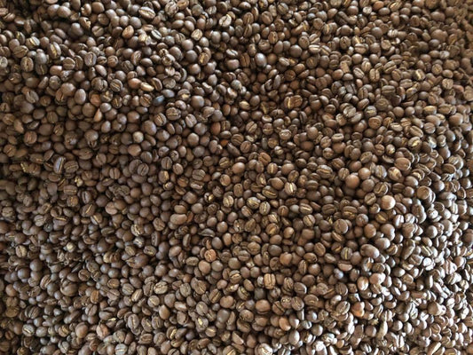 Besonderheiten der Kili Kaffees
