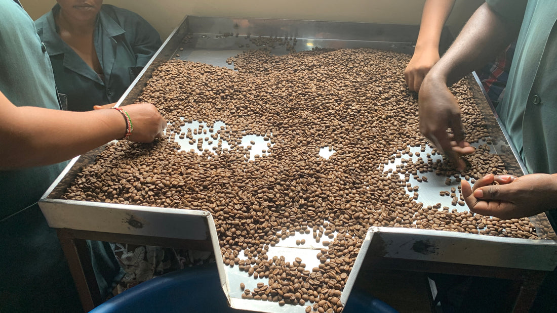 Warum gerösteten Kaffee importieren?
